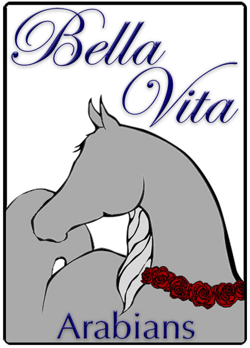 Bella Vita Arabians