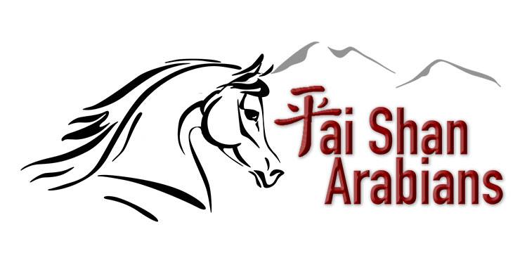 Tai Shan Arabians