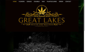Great Lakes Health and Wellness